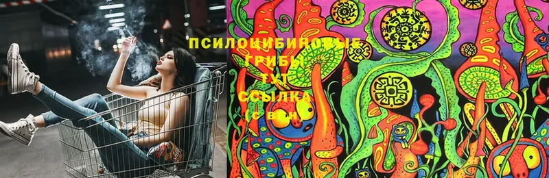 Галлюциногенные грибы Magic Shrooms  Солнечногорск 